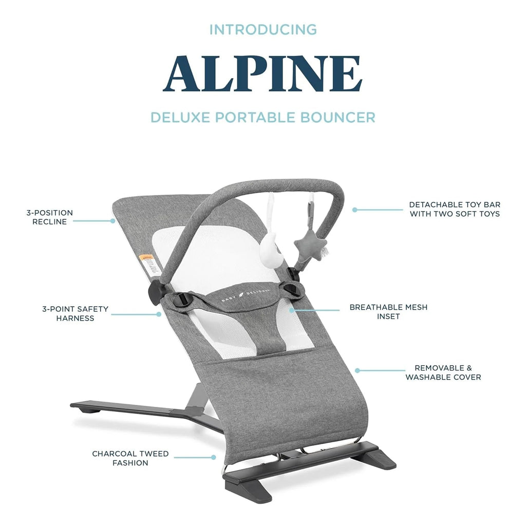 Baby Delight Alpine Deluxe Bouncer - Baby Sessions