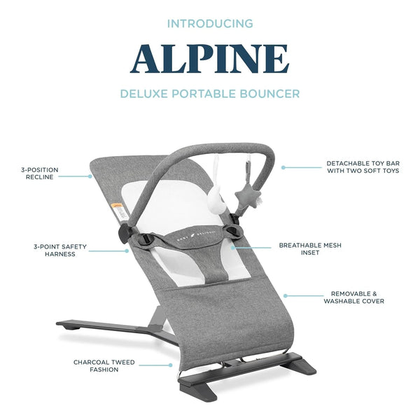 Baby Delight Alpine Deluxe Bouncer - Baby Sessions