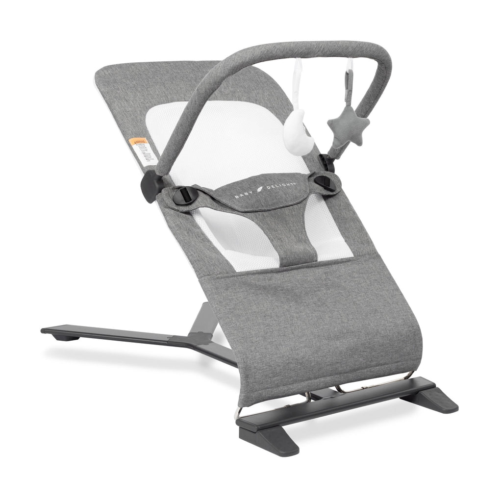 Baby Delight Alpine Deluxe Bouncer - Baby Sessions