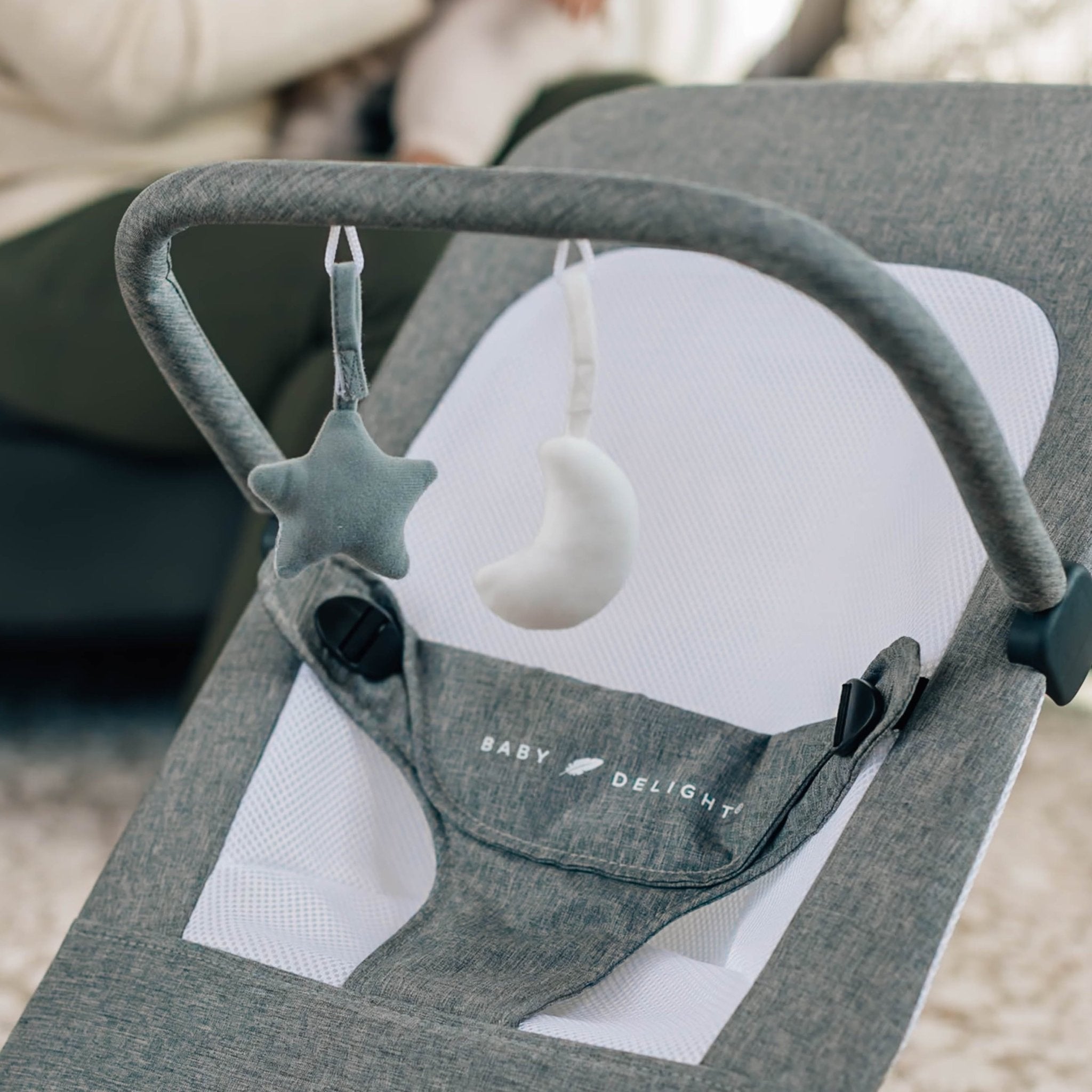 Baby Delight Alpine Deluxe Bouncer - Baby Sessions