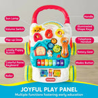 Removable Activity Panel Baby Walker - Baby Sessions